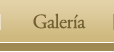 Galer&iacute;a