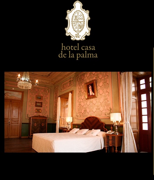 Hotel Casa De La Palma